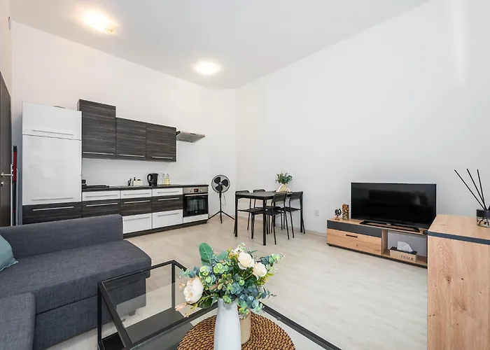Brno City Apartment ブルノ